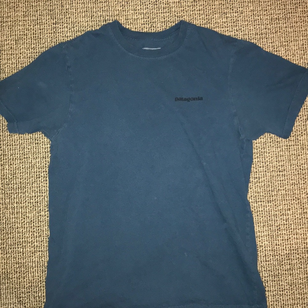 PATAGONIA SHORT SLEEVE LOGO TEE TEAL